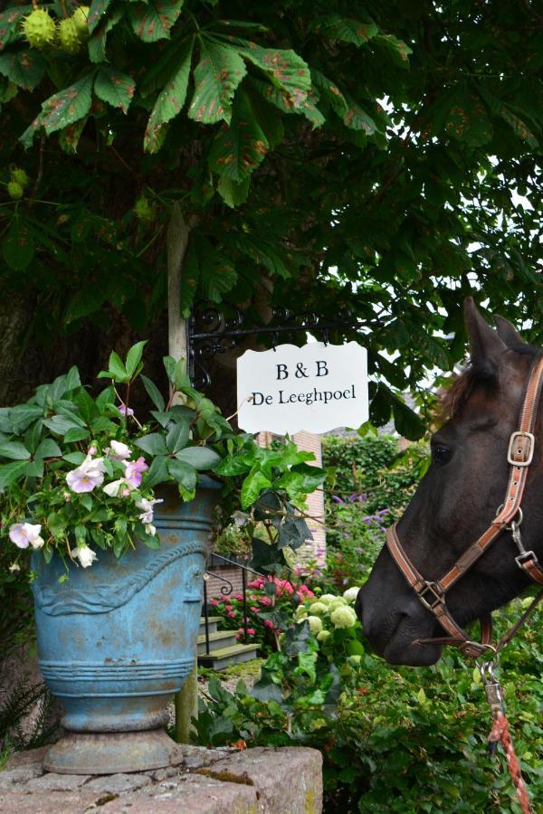 Rumpt B&B De Leeghpoel מראה חיצוני תמונה
